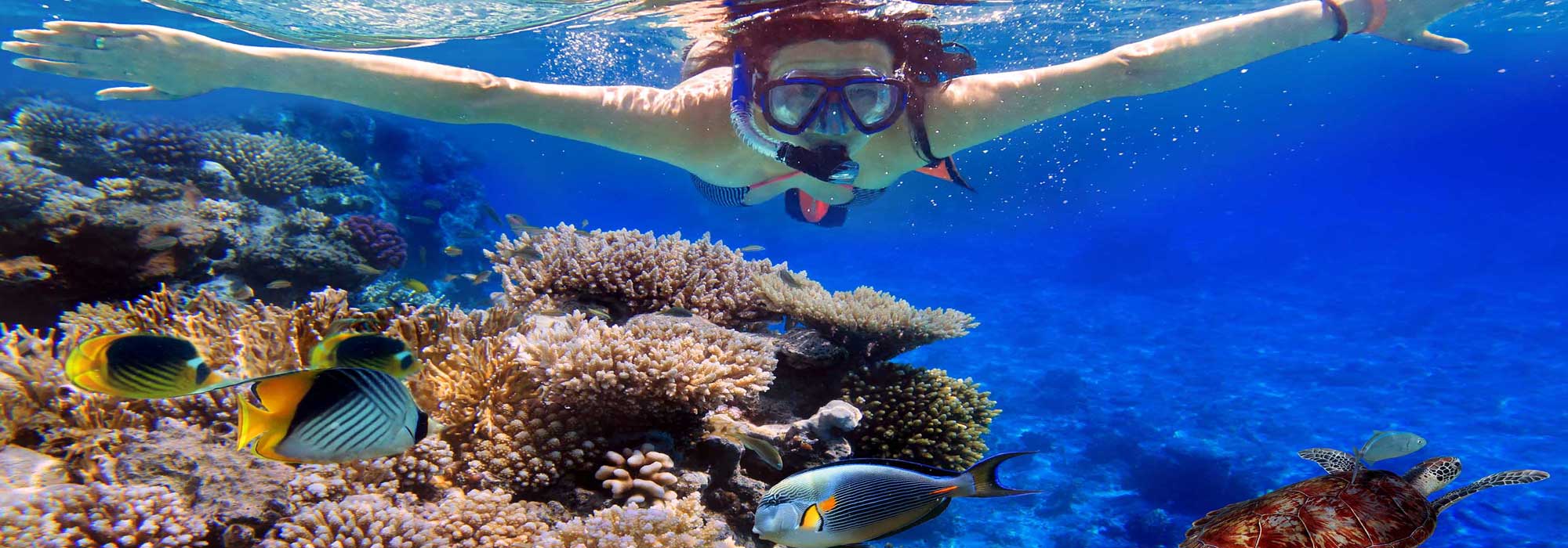 Snorkelling in Nusa Lembongan - Bali Fast Forward